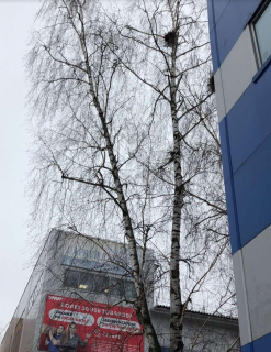 QIP Shot - Screen 240.png